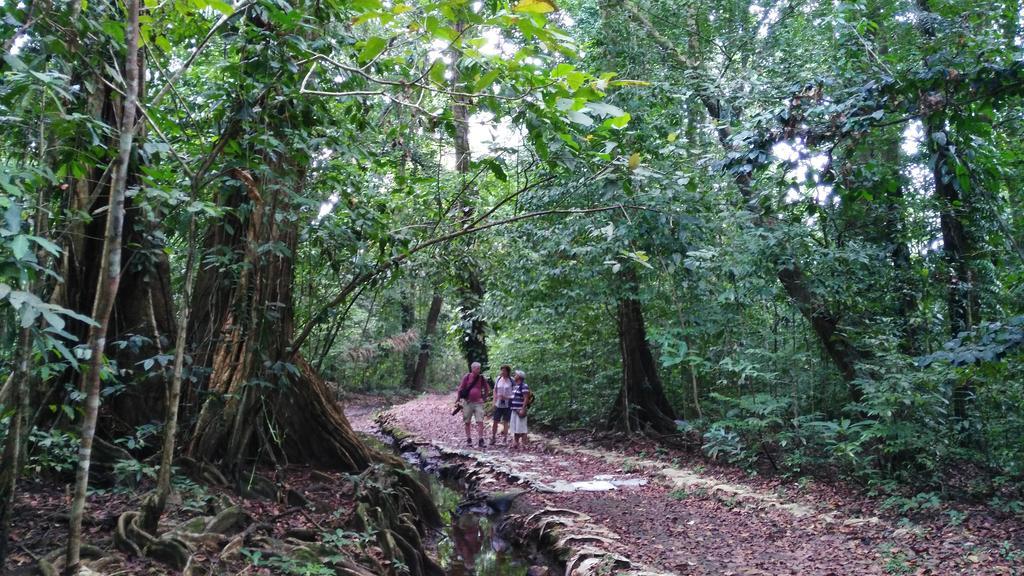 Lirio Lodge Barra de Pacuare Экстерьер фото