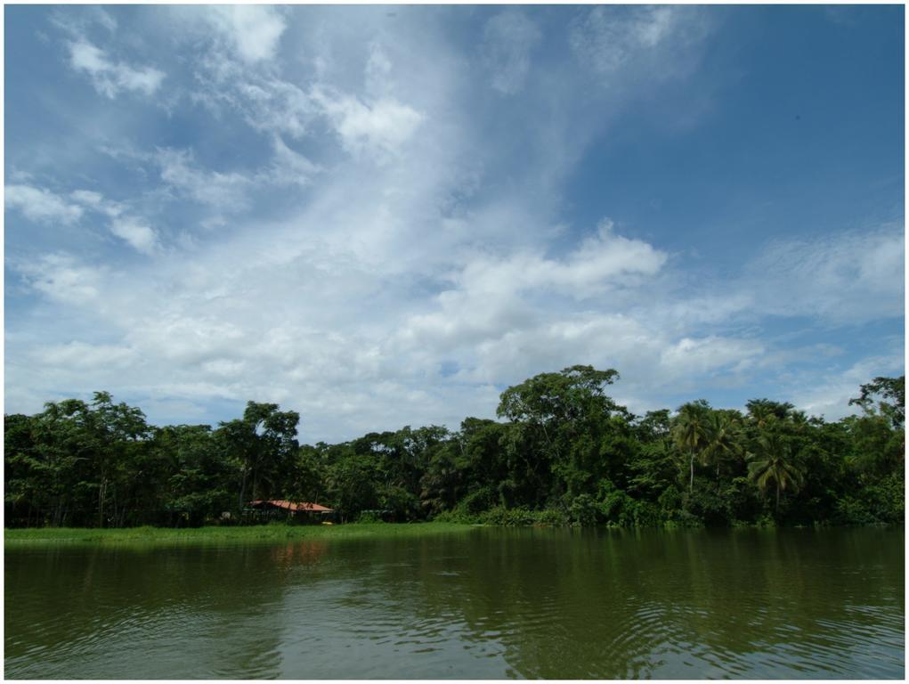 Lirio Lodge Barra de Pacuare Экстерьер фото