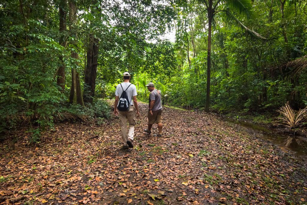 Lirio Lodge Barra de Pacuare Экстерьер фото