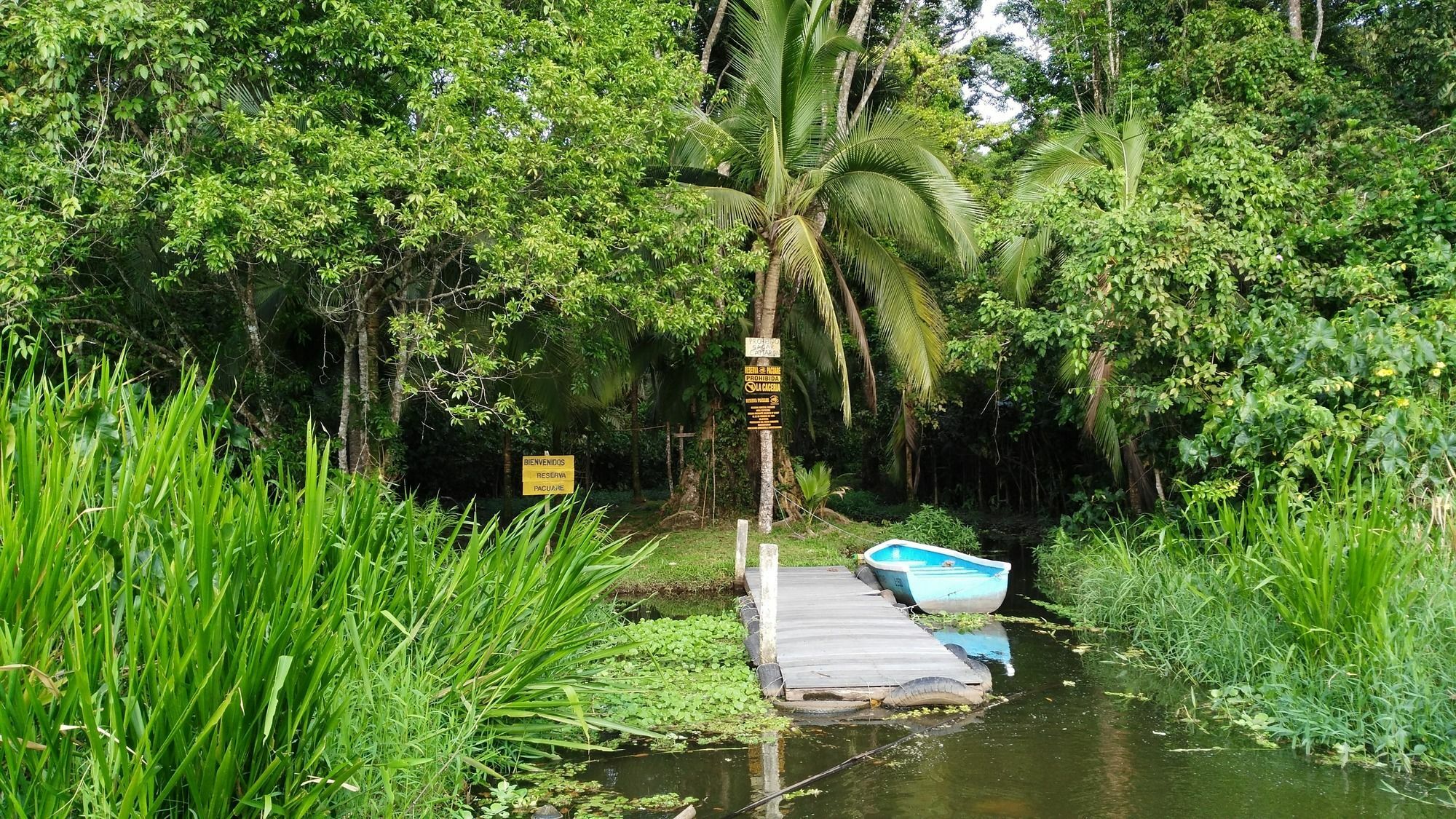 Lirio Lodge Barra de Pacuare Экстерьер фото
