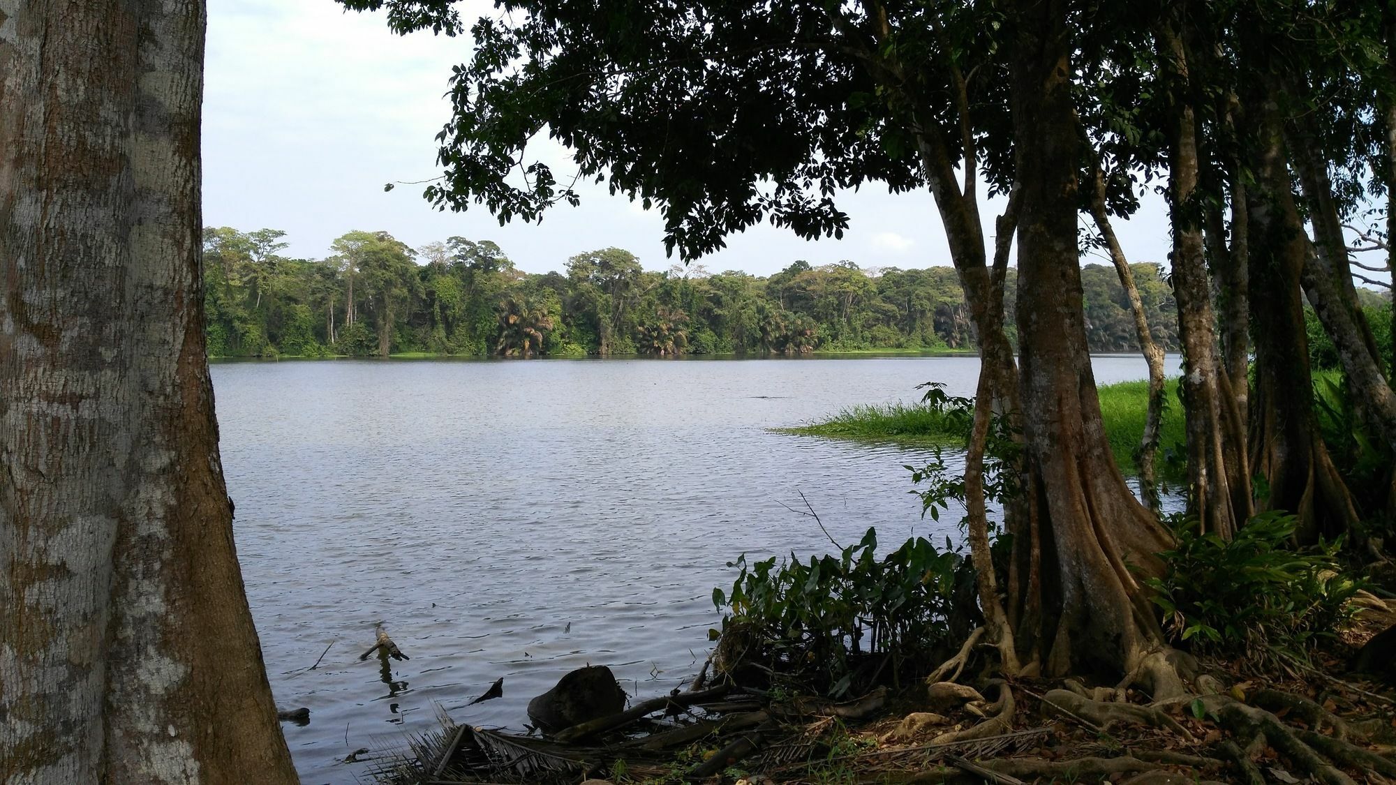 Lirio Lodge Barra de Pacuare Экстерьер фото