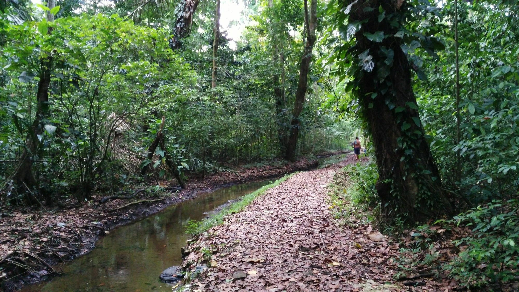 Lirio Lodge Barra de Pacuare Экстерьер фото