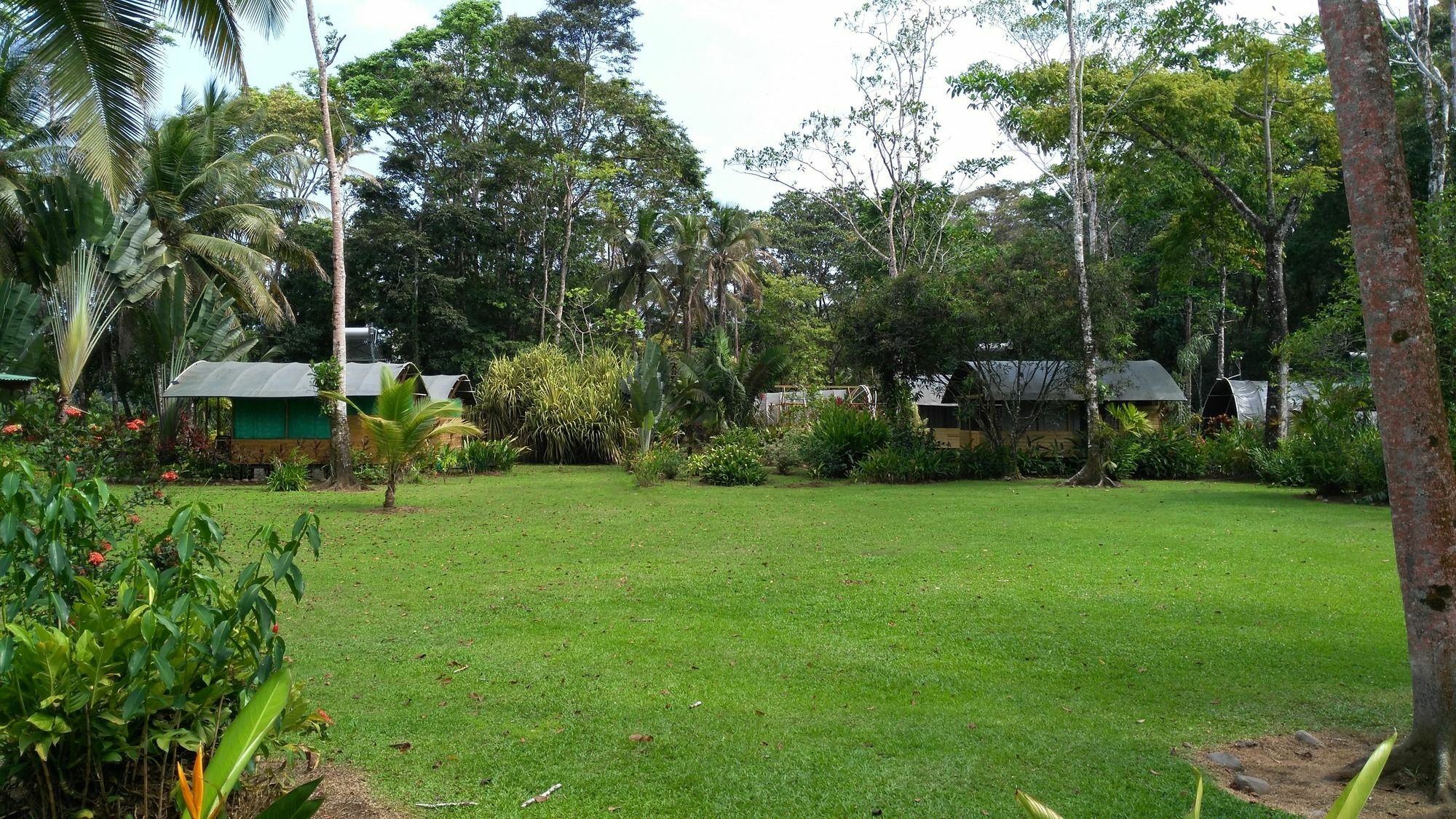 Lirio Lodge Barra de Pacuare Экстерьер фото