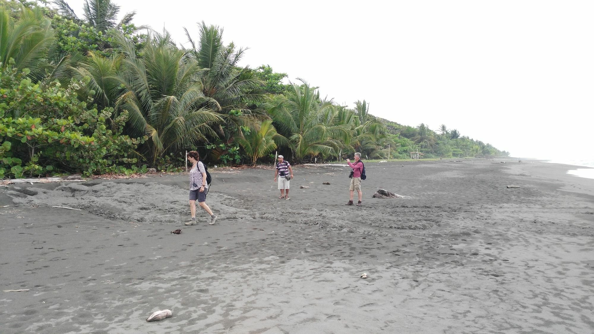 Lirio Lodge Barra de Pacuare Экстерьер фото