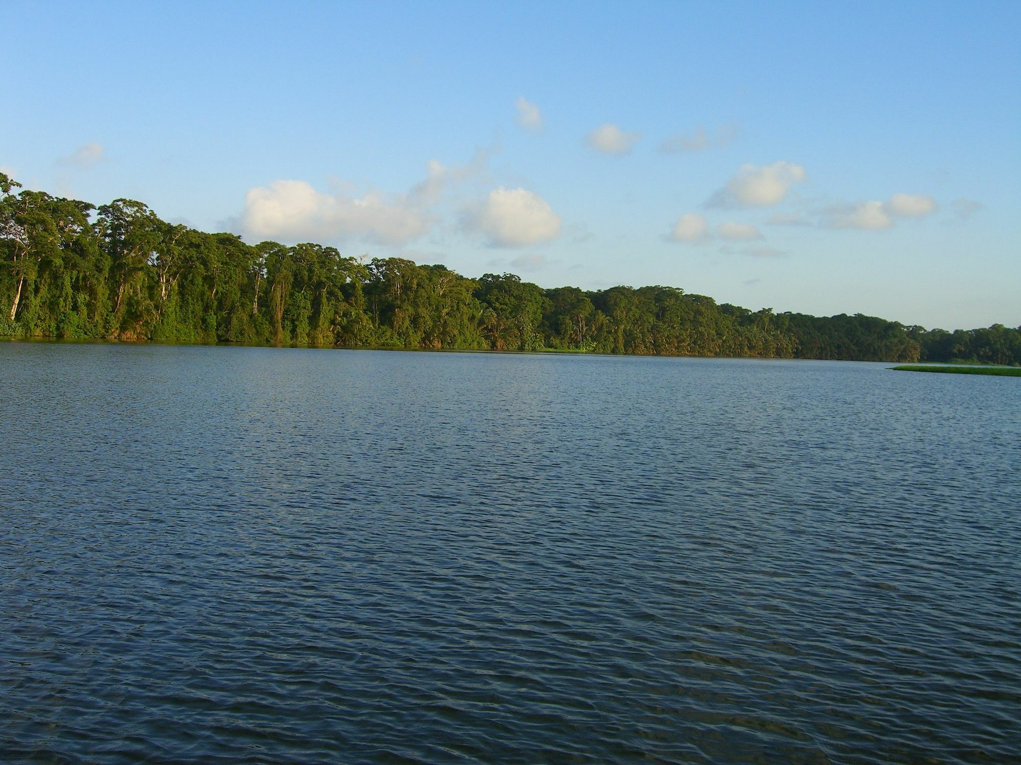 Lirio Lodge Barra de Pacuare Экстерьер фото