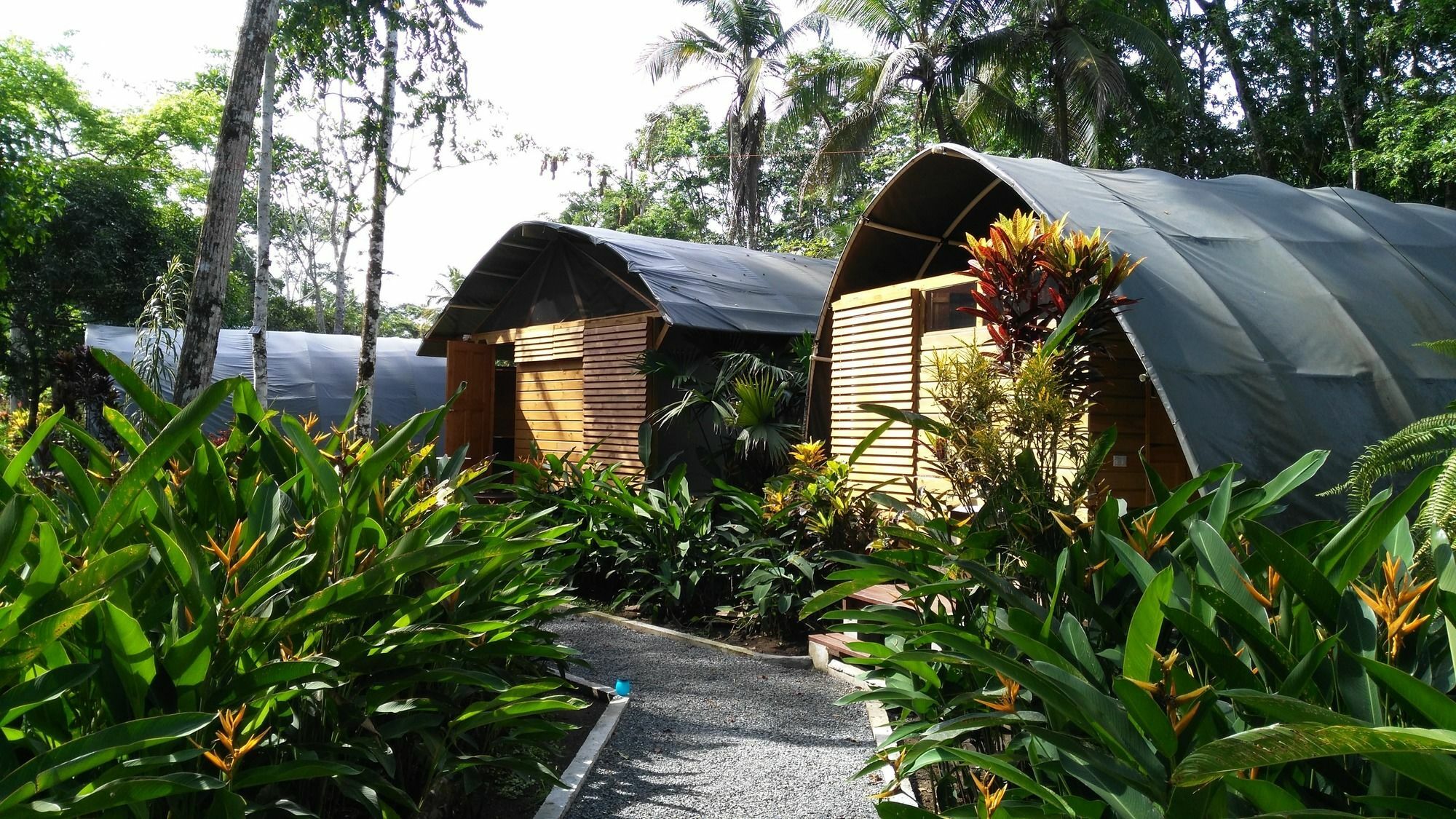Lirio Lodge Barra de Pacuare Экстерьер фото