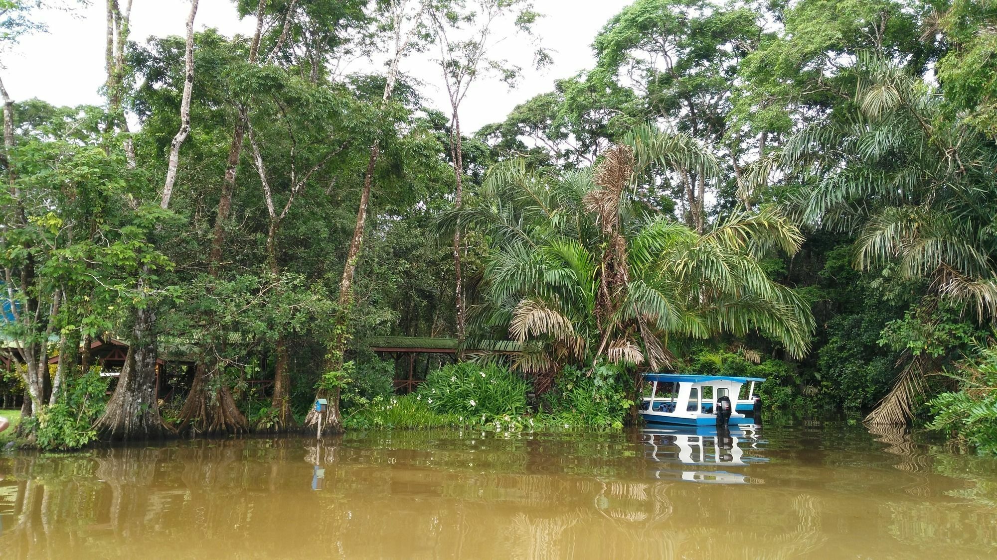 Lirio Lodge Barra de Pacuare Экстерьер фото