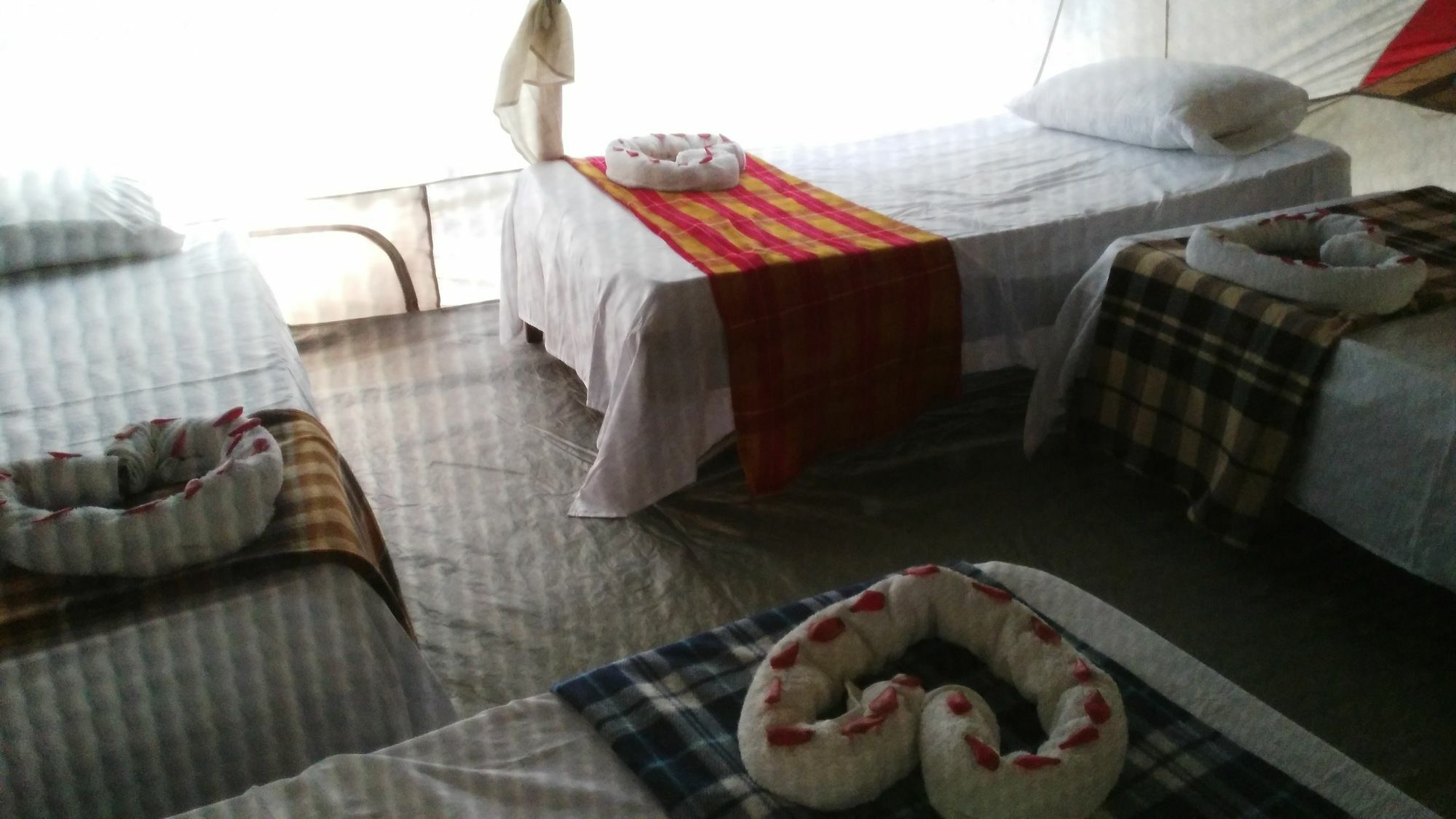 Lirio Lodge Barra de Pacuare Экстерьер фото